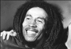 Robert nesta